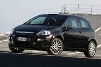 PUNTO EVO 3 deurs